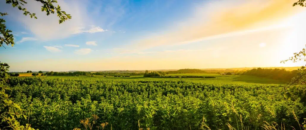 Early morning view of countryside - good morning images