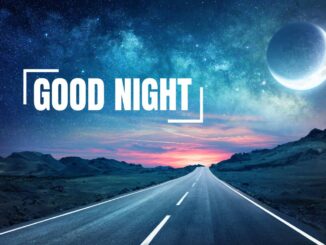 Road in night with half moon and Milky Way - flower images