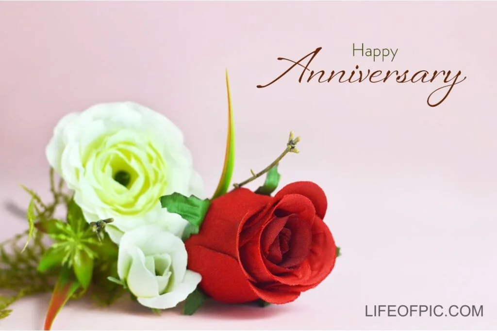 Happy Anniversary card. Artificial Flowers on pink background - happy anniversary images