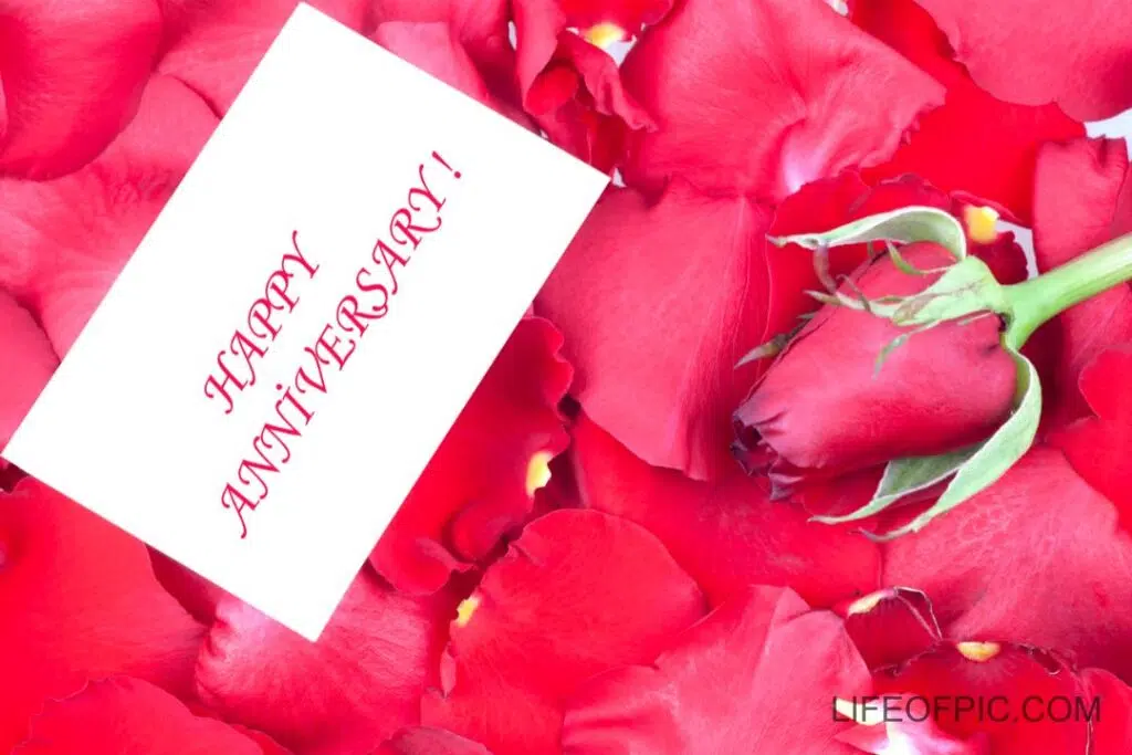 Label with happy Anniversary on the rose petals - happy anniversary images