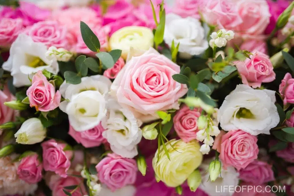 Bunch of fresh colorful flowers with green leaves - rose flower images