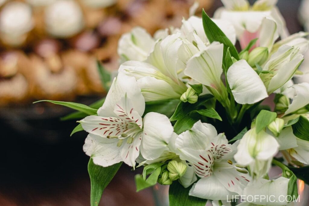 Gentle wedding bouquet of white Alstroemeria flowers - flower images