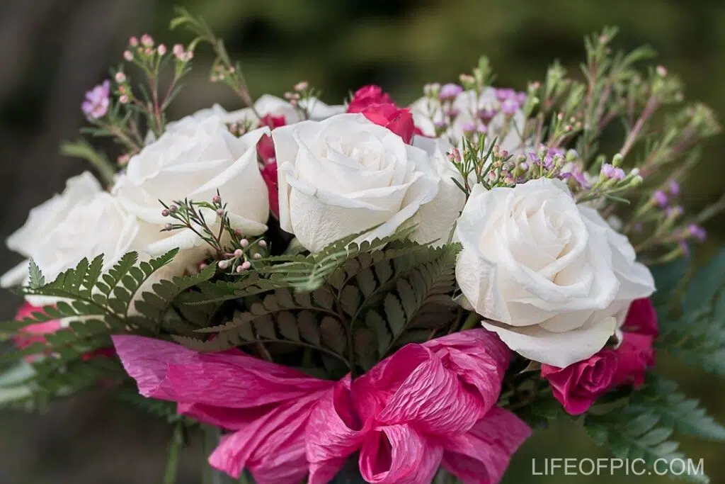 Tender bouquet of roses and small wildflowers in daylight - rose flower images