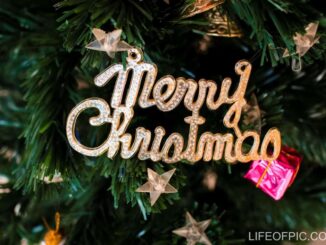 Merry-Christmas-Ornament