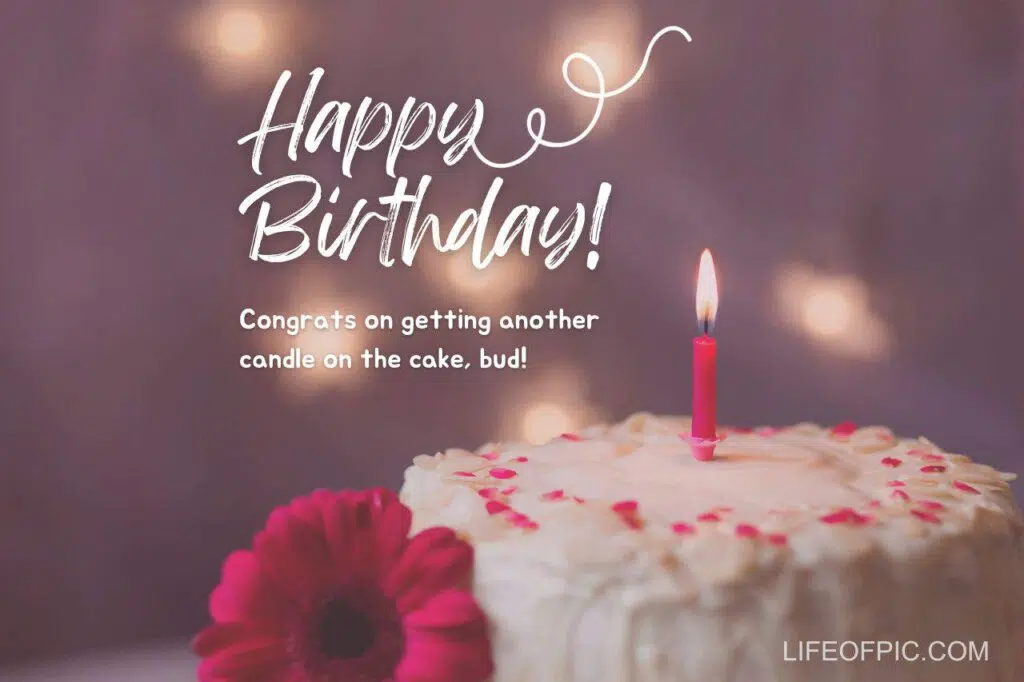 A Birthday Cake With A Candle - Free birthday cake images