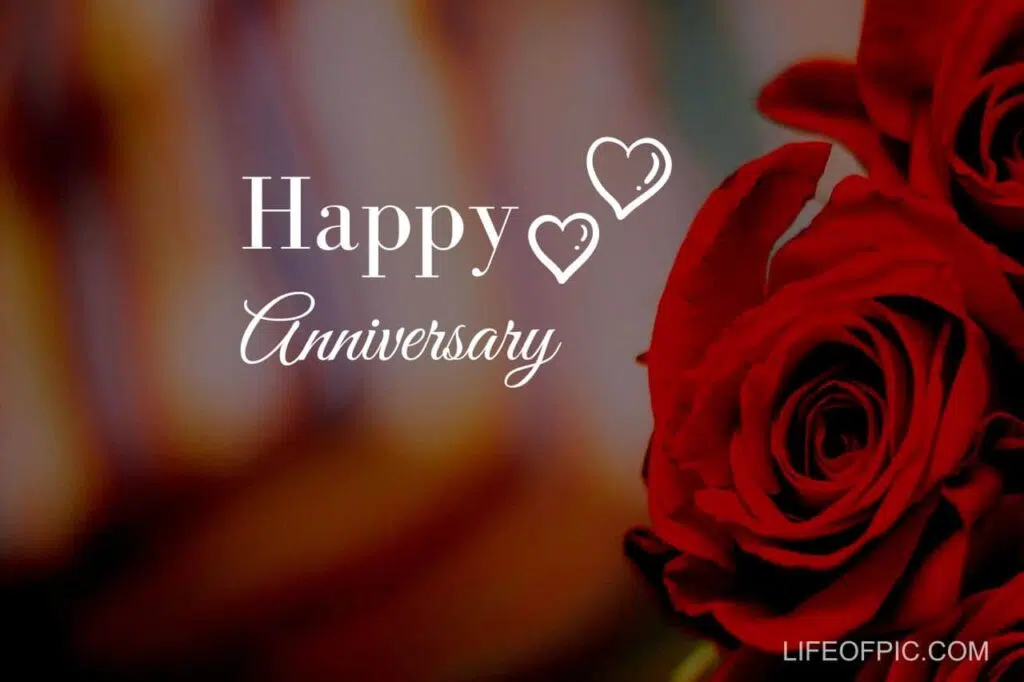 A close up of a flower with happy anniversary - happy anniversary images